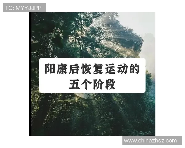 世界卫生组织运动指南：健康生活的关键，如何合理安排运动时间与强度