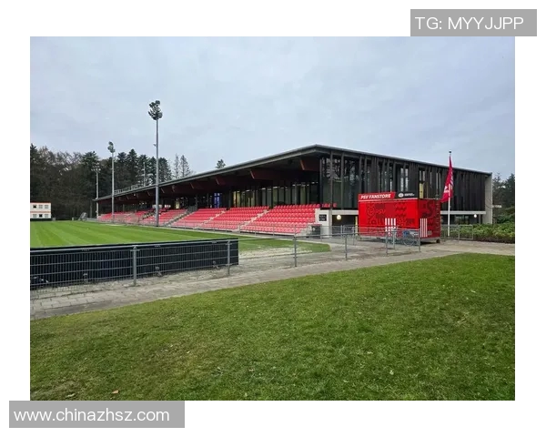 男足崛起之路:从青训到国际赛场,打造强队的全方位战略探索