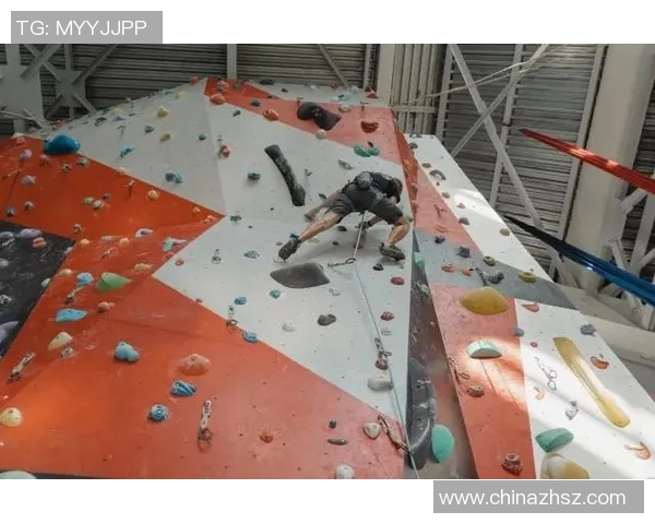 上海攀岩队心理素质分析与表现评估研究报告